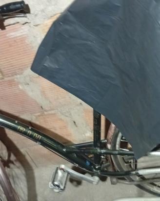 Bicicletta unisex 