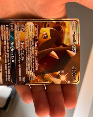 Carte pokemon