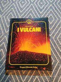 Libri i vulcani di viaggio per terra e per mare