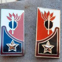 Mostrine Genio Guastatori - Esercito Italiano