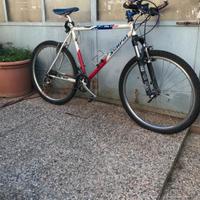 mountain bike scapin