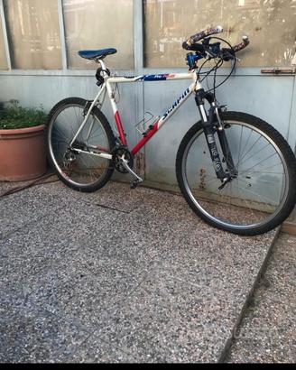 mountain bike scapin