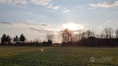 Ampio trilocale a cologno al serio