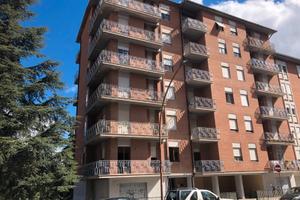 Camera singola ampia per studenti/lavoratori