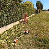 Giardinaggio