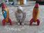 Immagine 5