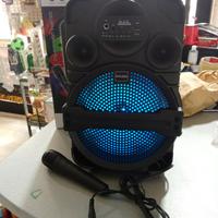 Cassa portatile con microfono 