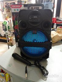 Cassa portatile con microfono 