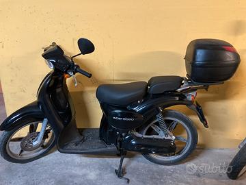 Scarabeo nero aprilia