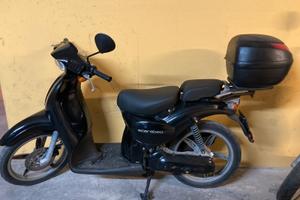 Scarabeo nero aprilia