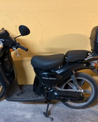 Scarabeo nero aprilia