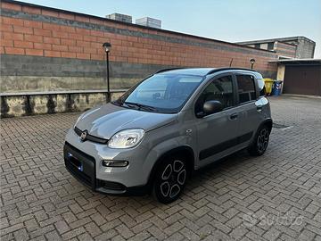 PANDA HYBRID