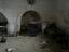 Immagine 14
