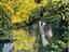 Immagine 10