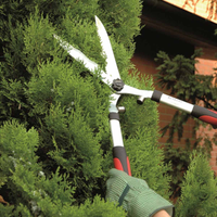 Pulizia giardini, cortili, terreni