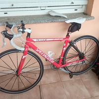 SPECIALIZED ALLEZ