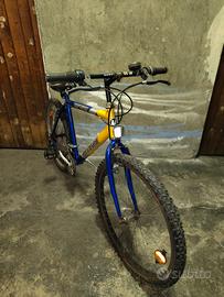 MTB ragazzo 26