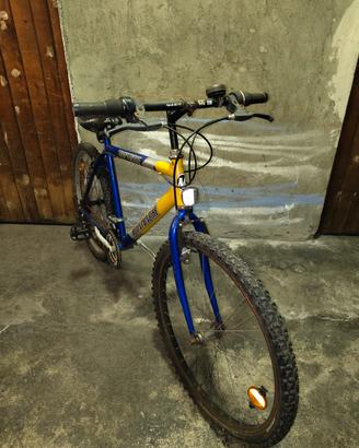 MTB ragazzo 26