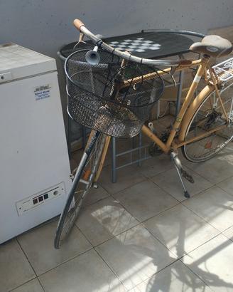 bicicletta 
