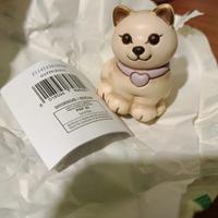 Gatto thun con certificazione