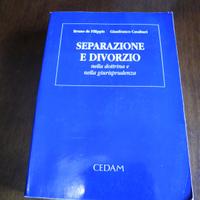 Volume "Separazione e divorzio" nella dottrina...