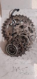 Pacco Pignoni SHIMANO