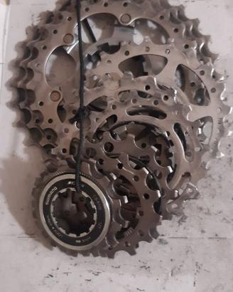 Pacco Pignoni SHIMANO