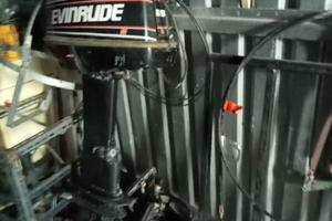Evinrude 25 CV
