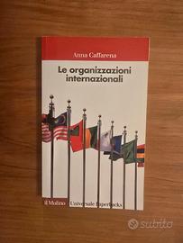 Anna Caffarena, Le Organizzazioni Internazionali