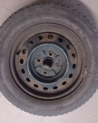 gomme antineve