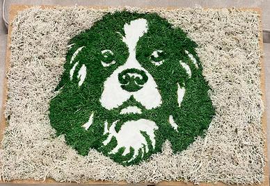 Quadro muschio stabilizzato