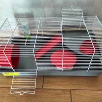 Gabbia per criceti completa di accessori