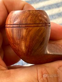 Pipa BBB ultonia