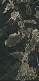 Terreno agricolo 18 ettari - orto irriguo