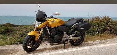 honda hornet