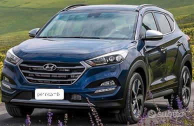 Ricambi hyundai tucson-musate complete num 45