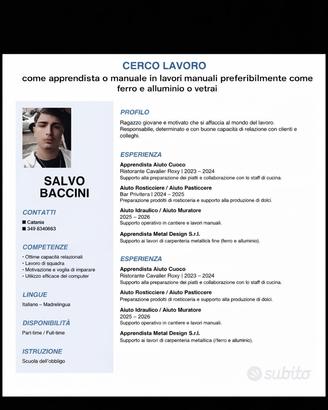Chi mi dà un lavoro?