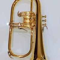 Flicorno 