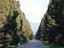 Immagine 25
