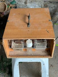 Trasportini per uccellini