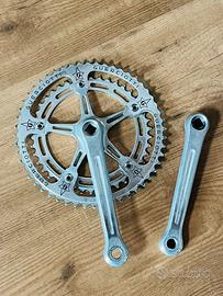 Guarnitura campagnolo