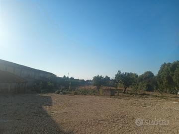 Una splendida casa