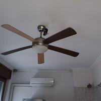 Ventilatore da soffitto con 5 pale 