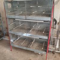 Gabbia 3 piani