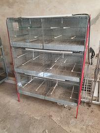 Gabbia 3 piani