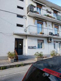 Pesaro / Loreto Trlocale libero