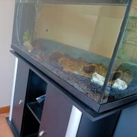Acquario 150 l