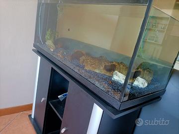 Acquario 150 l