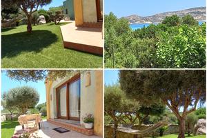 La Maddalena LAST MINUTE AGOSTO