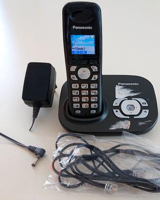 Telefono cordless Panasonic KX-TG8021JT